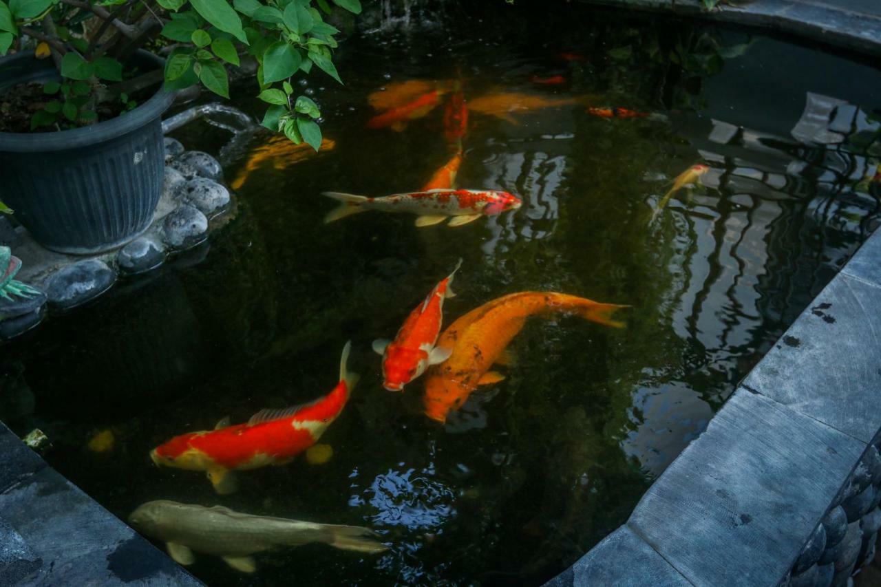 Sekar Waru Homestay ซานูร์ ภายนอก รูปภาพ